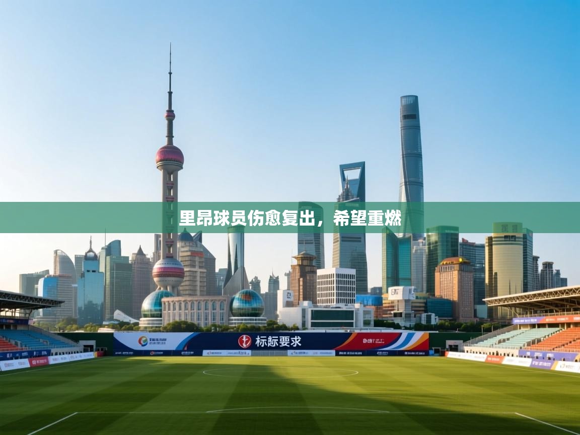 里昂球员伤愈复出，希望重燃  第1张