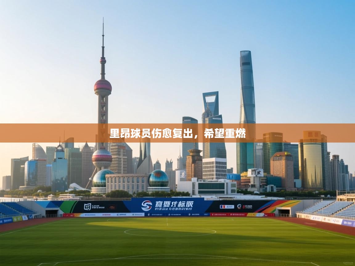 里昂球员伤愈复出，希望重燃  第2张