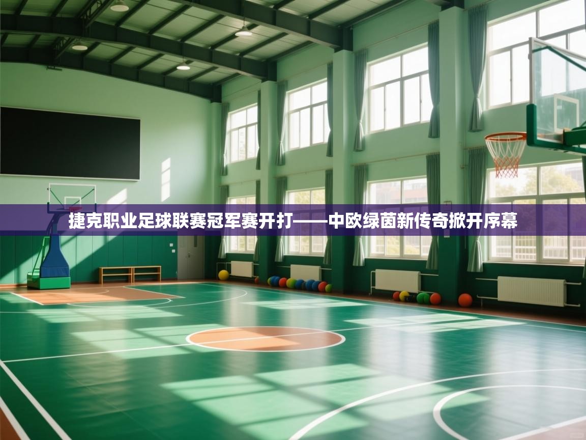 捷克职业足球联赛冠军赛开打——中欧绿茵新传奇掀开序幕  第2张