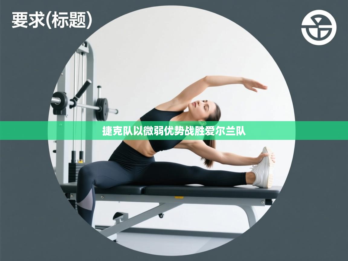 捷克队以微弱优势战胜爱尔兰队  第1张